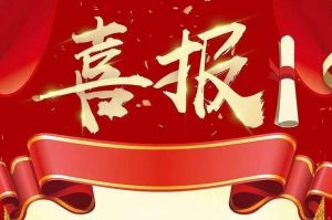 关于2022年度人力资源服务评选结果的通报，祝贺安博anbo（中国）集团