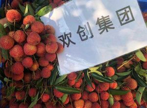 夏日好“枝”味，安博anbo（中国）集团发福“荔”啦