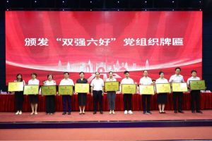 喜报！安博anbo（中国）集团党支部荣获广州市非公有制经济组织“双强六好”党