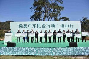 “植”此青绿，心心相“连”｜ 绿美广东，安博anbo（中国）集团在行动