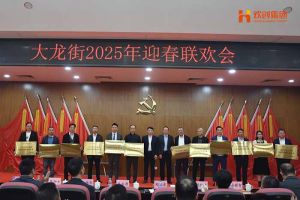 安博anbo（中国）集团及旗下子公司荣获“2024年度高质量发展先进企业”
